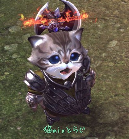 お前ねずみだにゃ～！